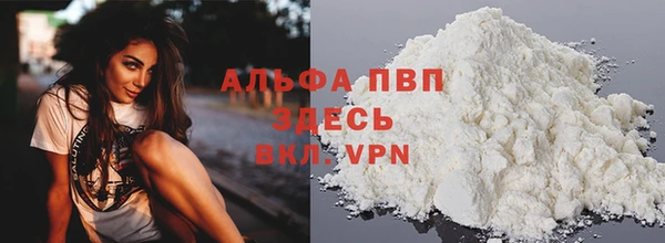 прущие грибы Магадан