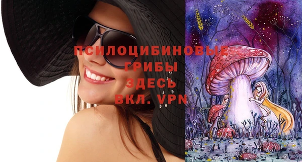 соль ск Магас