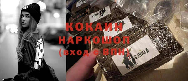 прущие грибы Магадан