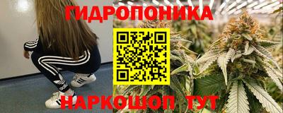 a pvp Заволжье