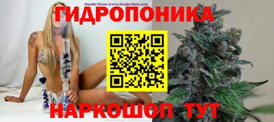 a pvp Заволжье