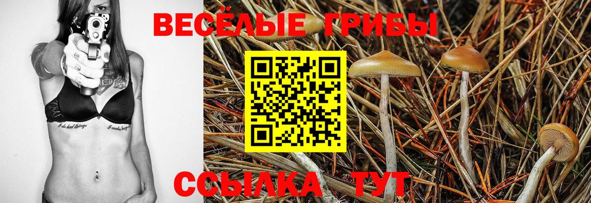 Галлюциногенные грибы мухоморы  Псилоцибиновые грибы Psilocybe  Малоярославец  магазин  наркотиков  Вход с VPN 