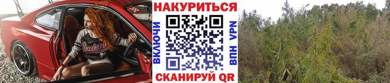 где продают наркотики Малоярославец Конопля ГИДРОПОН